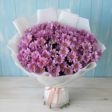 Букет цветов из:  Хризантемы в Клетне