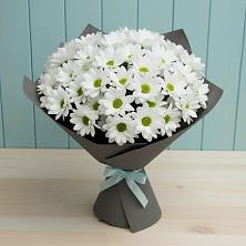 Букет цветов из:  Хризантемы в Клетне