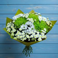 Букет цветов из:  Хризантемы #REPLACE_PRED# Клетне