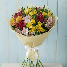 Букет цветов из:  Альстромерии в Клетне